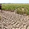 Indonesia Masuk Daftar Negara Rentan Ancaman Super El Nino Picu Inflasi Global
