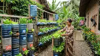 10 Jenis Tanaman Sayur yang Cocok untuk Hidroponik Galon Tanpa Listrik, Praktis dan Hemat
