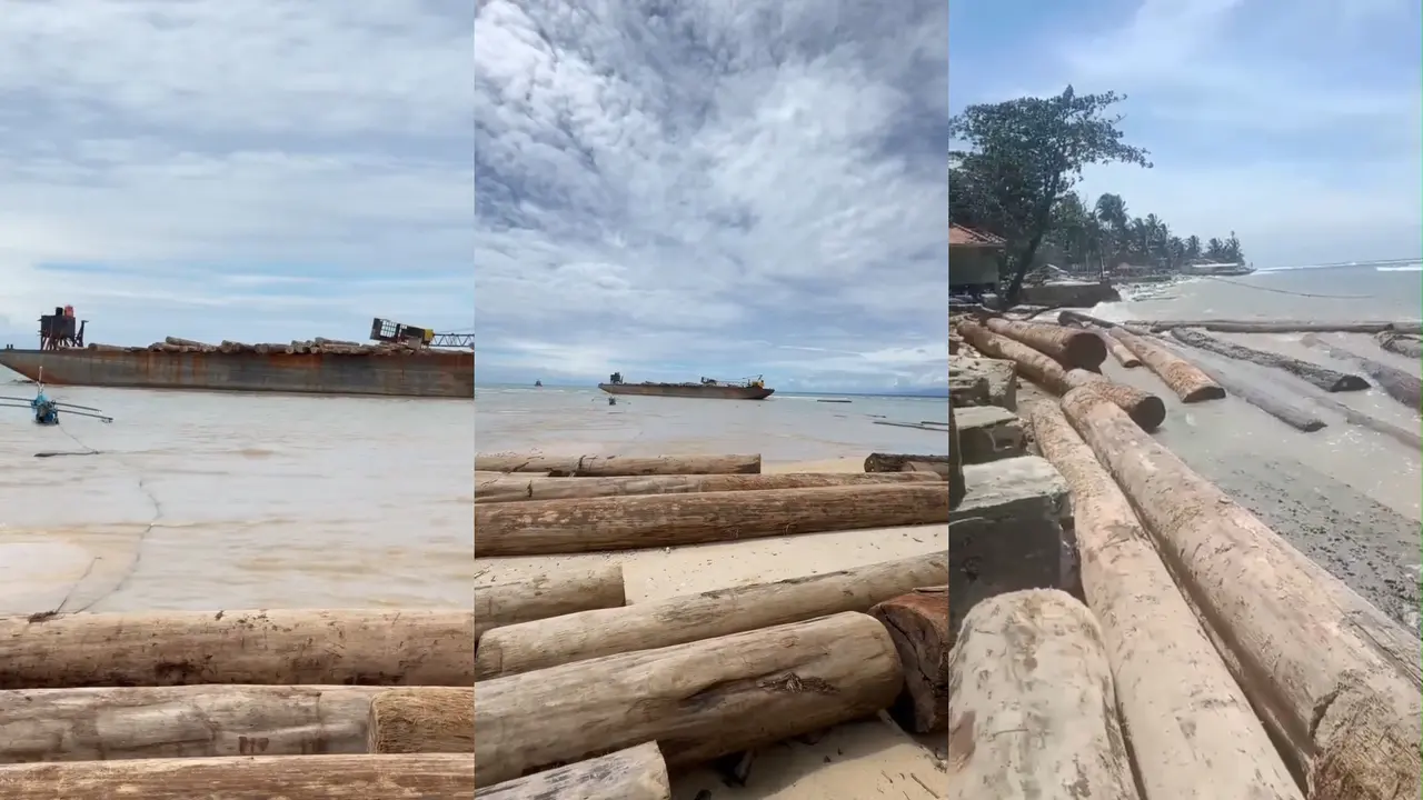 Tangkapan layar rekaman video viral tongkang bermuatan ribuan kayu terdampar di Pesisir Barat, Lampung.