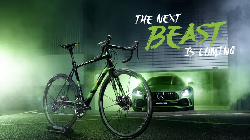 Rotwild racing bike R.S2 Limited-Edition "Beast of Green Hell"