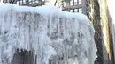 Air mancur Josephine Shaw Lowell yang membeku di Taman Bryant, New York, Selasa (2/1). Cuaca sangat dingin menjadi pembuka tahun baru bagi sebagian besar warga di wilayah tengah dan utara Amerika Serikat. (AFP PHOTO / TIMOTHY A. CLARY)