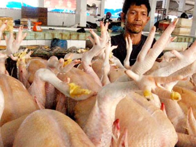Cara Bedakan Daging Ayam Tiren Berformalin Dan Ayam Sehat