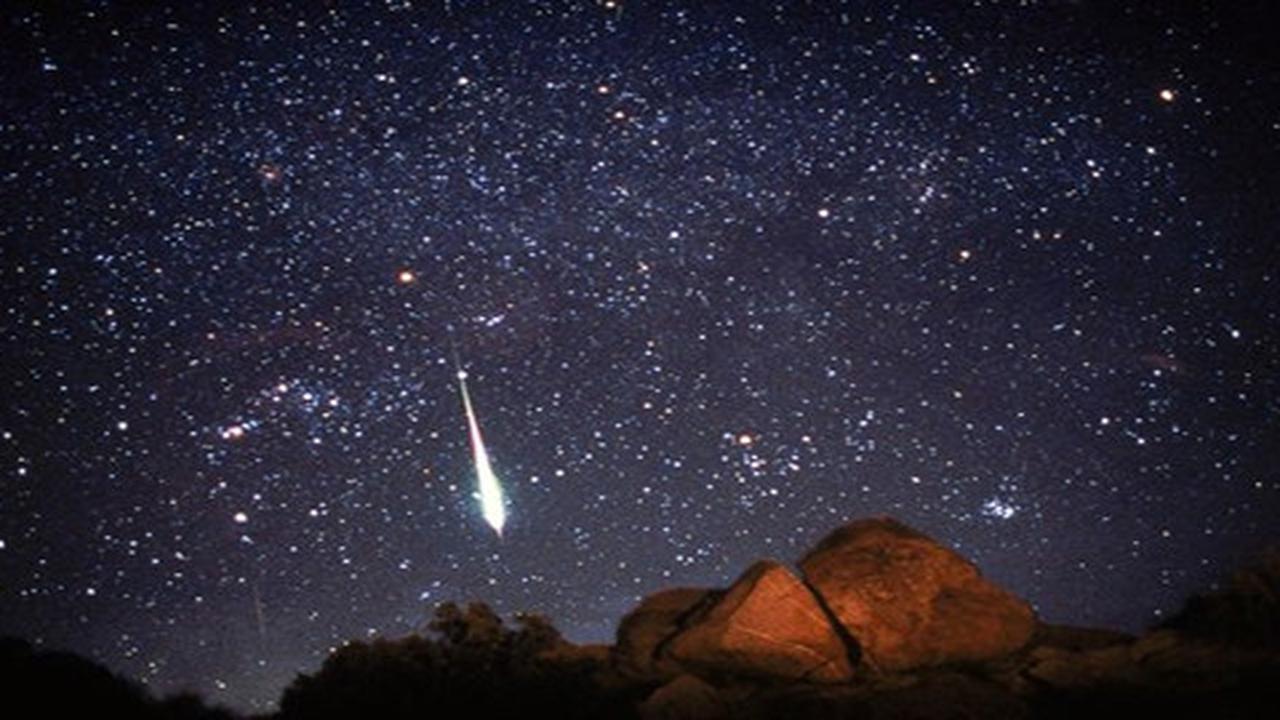 Leonids