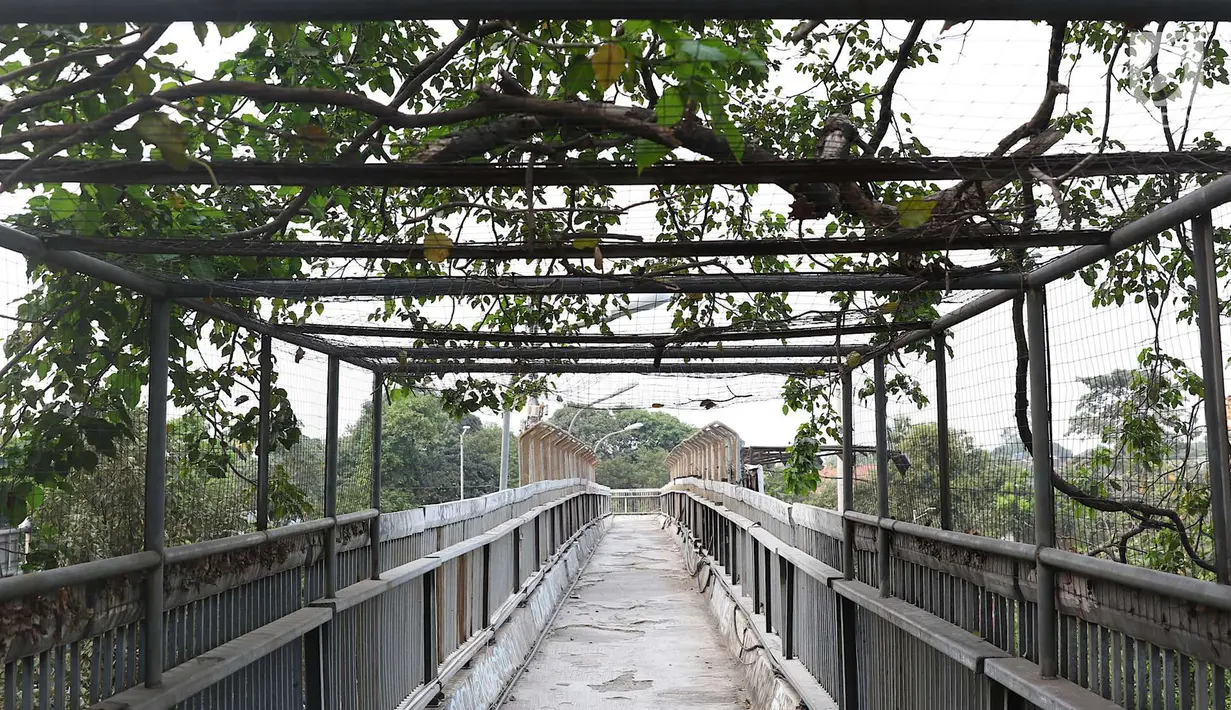 Suasana jembatan penyeberangan orang tanpa atap dan tidak terawat di Jalan TB Simatupang, Jakarta, Rabu (10/10). Kondisi tersebut menyebabkan JPO terkesan kumuh serta mengurangi kenyamanan pejalan kaki. (Liputan6.com/Immanuel Antonius)