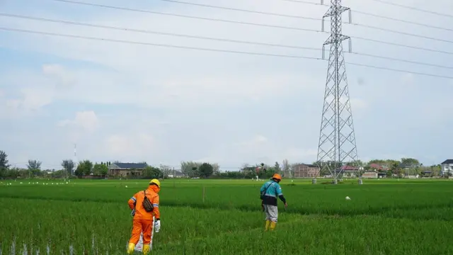 PLN segera menyelesaikan pengerjaan Gardu Induk Tegangan Extra Tinggi (GITET) Sigli-Ulee Kareng 275 kV (Kilovolt) di Provinsi Nanggroe Aceh Darussalam. (Dok PLN)