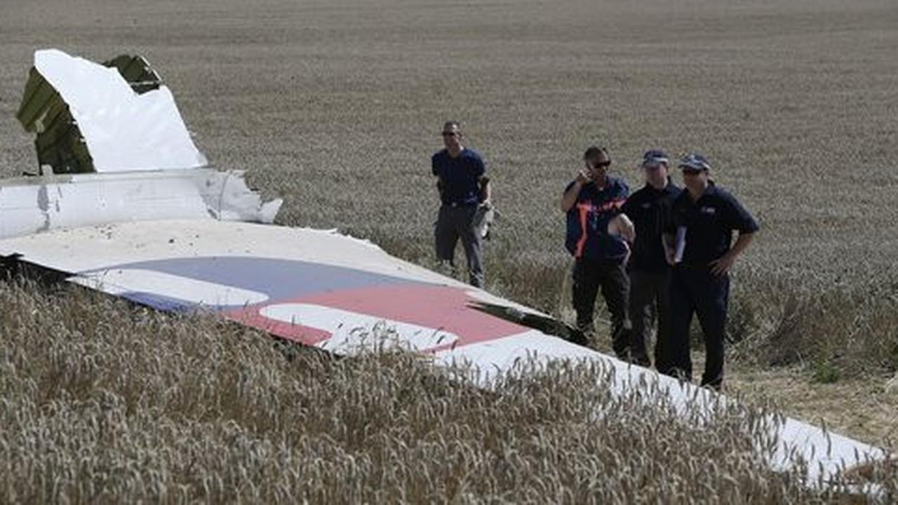 Indonesia minta pelaku jatuhnya pesawat MH17 diseret ke meja hijau