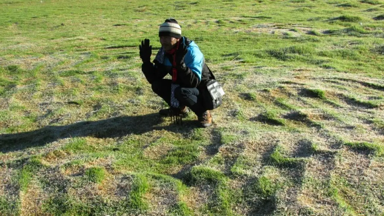 Embun es yang muncul pada 2017 di Dieng. (Foto: PVMBG/Muhamad Ridlo/Liputan6.com)