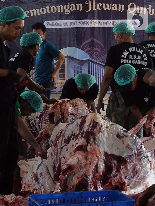 Masjid Istiqlal menggelar penyembelihan hewan qurban di Rumah Pemotongan Hewan (RPH) Masjid Istiqlal. (merdeka.com/Imam Buhori)