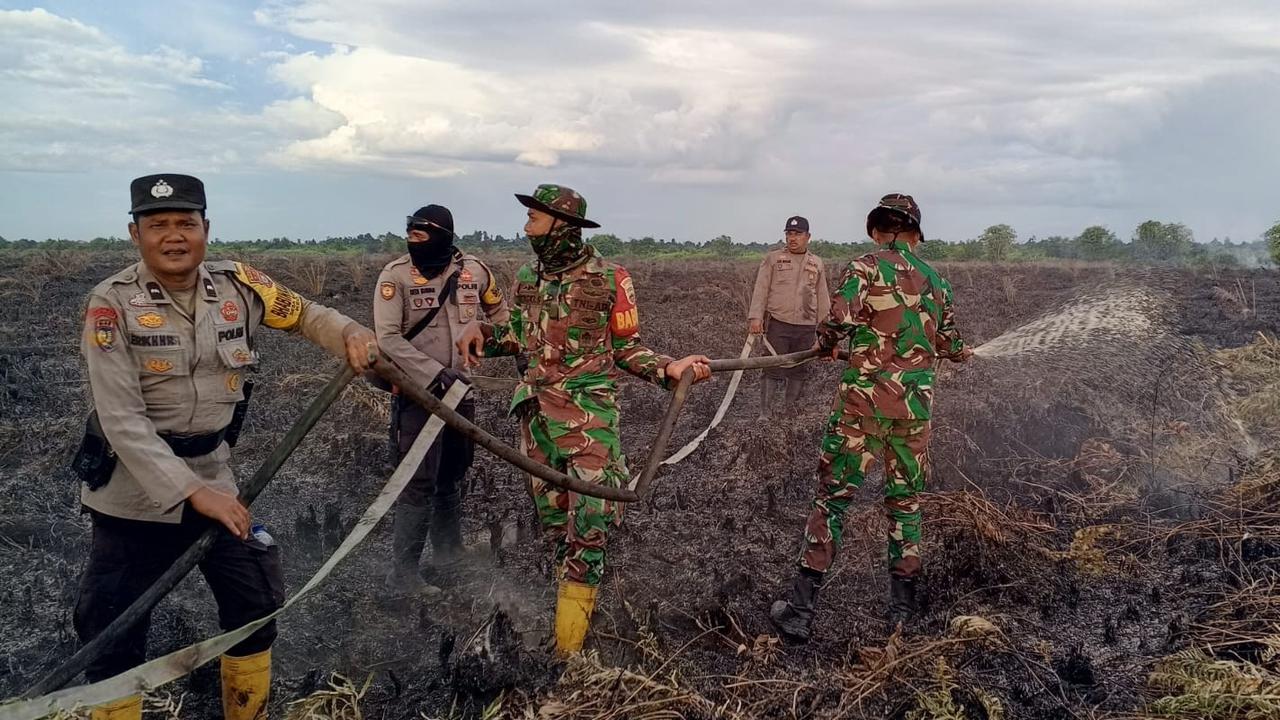 Bakar 10 Hektar Hutan, Tiga Pelaku Mau Tanam Sawit