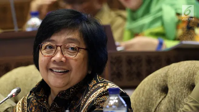 Menteri Siti Bahas Perubahan Iklim Bersama DPR