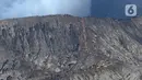 Terlihat kepadatan wisatawan saat mendaki menuju kawah Gunung Bromo. (merdeka.com/Arie Basuki)
