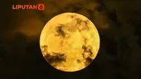 Infografis Fenomena Sturgeon Moon Agustus 2025