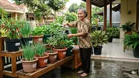7 Kebun Sayur untuk Lansia Usia 60 Tahun yang Mudah Dirawat