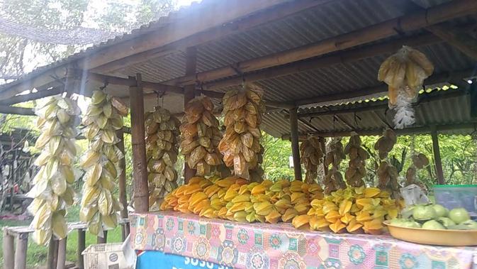 Agrowisata Kebun Belimbing Desa Ngringinrejo, Kecamatan Kalitidu, Kabupaten Bojonegoro, Jawa Timur. (Liputan6.com/ Ahmad Adirin)