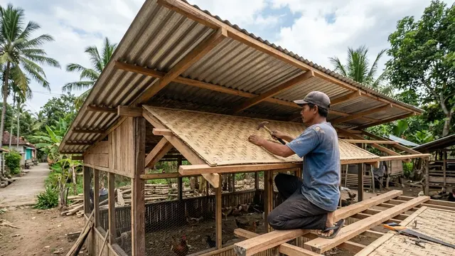 Cara Buat Kandang Ayam Seng tapi Tetap Adem Tahan Panas