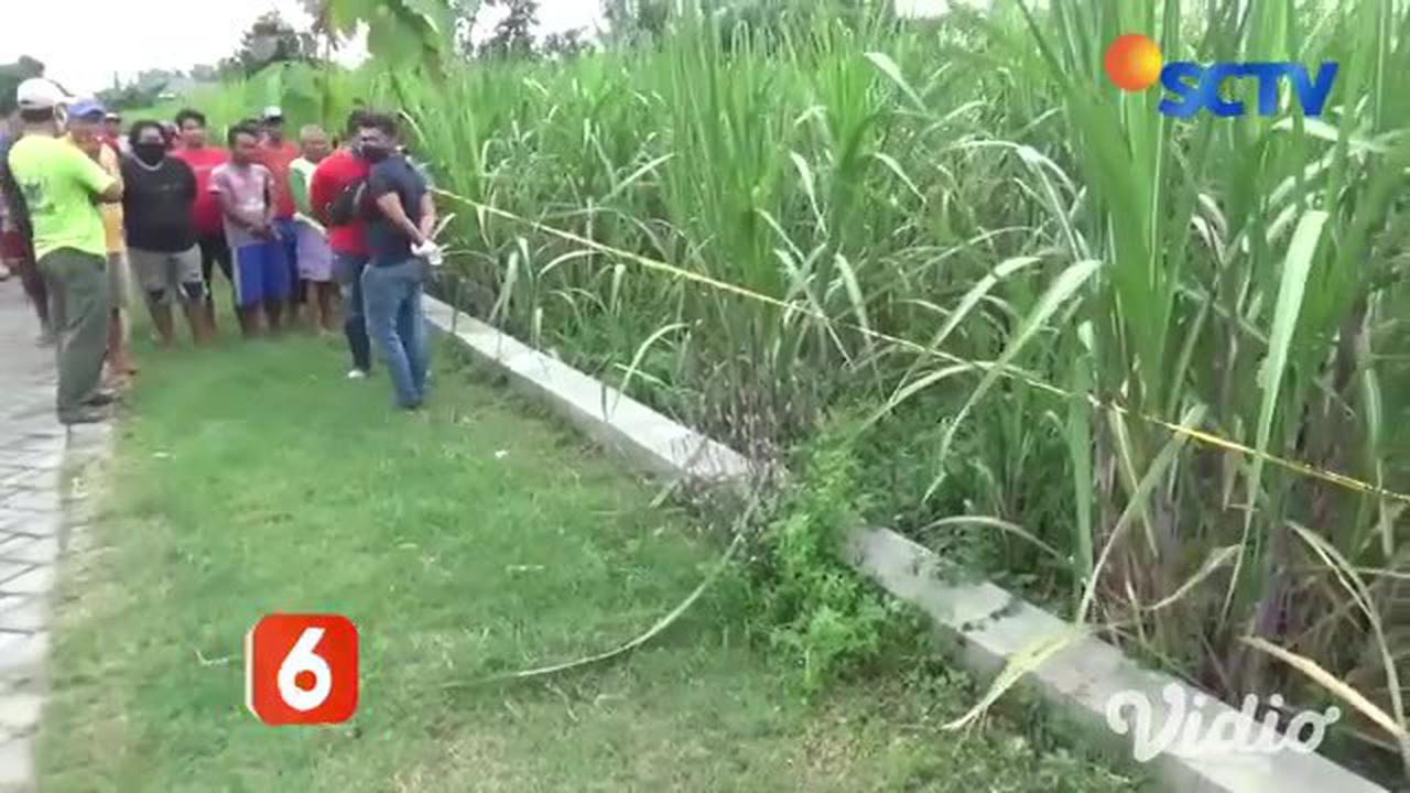 VIDEO: Jasad Wanita Tewas di Kebun Tebu di Jombang
