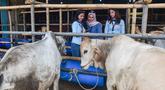 Sales Promotion Girl (SPG) dengan mengenakan kostum ala pramugari melayani calon pembeli di Mall Hewan Qurban H. Doni, Depok, Jawa Barat, Senin (11/5/2026). Penjualan hewan kurban menjelang Hari Raya Iduladha 1447 Hijriah mulai ramai di sejumlah wilayah Jabodetabek, termasuk di Depok. (merdeka.com/Arie Basuki)