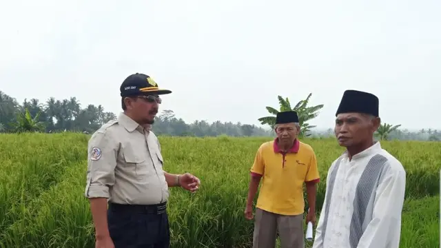 Jawa Tengah Salah Satu Tumpuan Serapan KUR Pertanian