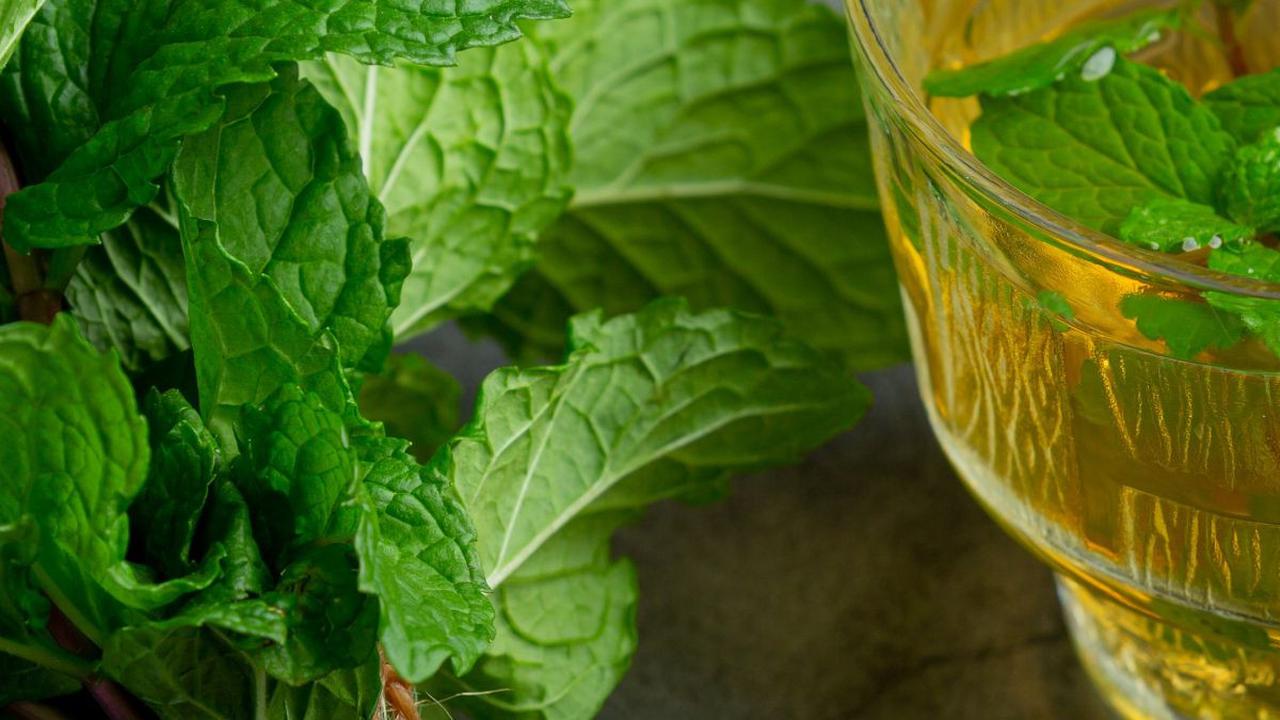 <b>6. Daun Peppermint</b>