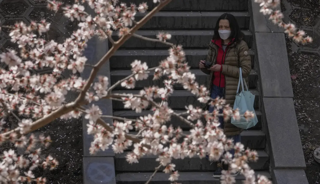 Warga mengenakan masker saat mengambil foto bunga sakura di sepanjang tepi sungai di Beijing, Selasa (14/3/2023). Keindahan bunga sakura menjadi daya tarik bagi masyarakat yang ingin berfoto dan mengabadikan momen tersebut. (Photo by AFP)