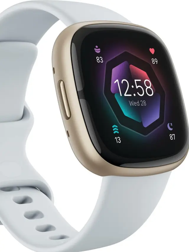 Fitbit Sense 2 (Foto: Ubuy Indonesia)