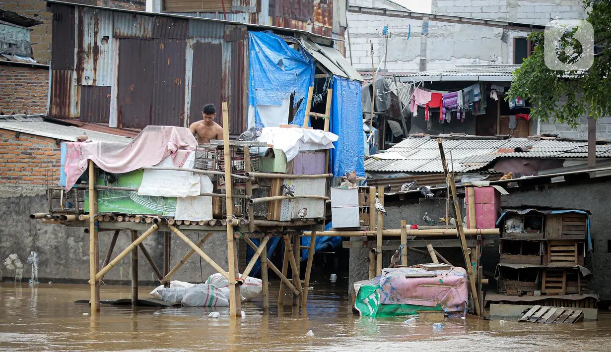 Warga permukiman bantaran Sungai Ciliwung memeriksa kandang burung saat banjir, Jakarta, Senin (10/10/2022). Hingga pukul 09.00 WIB hari ini, Badan Penanggulangan Bencana Daerah (BPBD) DKI Jakarta mencatat sebanyak 68 RT di Jakarta terendam banjir akibat luapan Sungai Ciliwung. (Liputan6.com/Faizal Fanani)