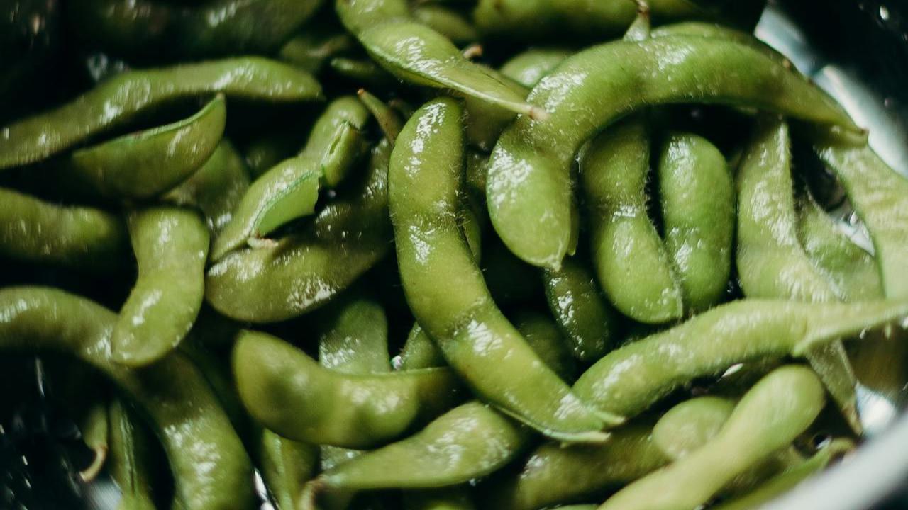 Ilustrasi Edamame