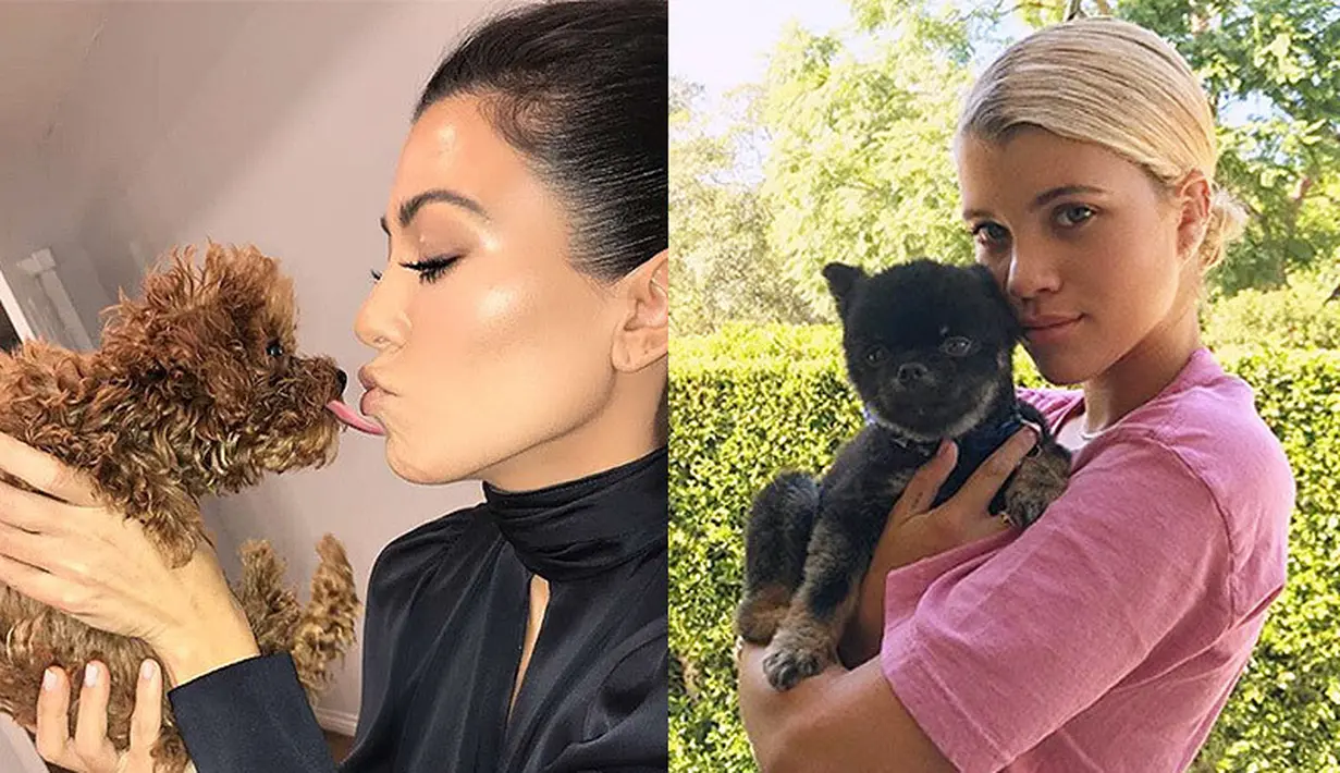 Sama-sama berpose dengan anjing, mana yang lebih gemas? (HollywoodLife)