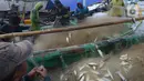 Nelayan mengumpulkan ikan hasil tangkapan di Pelabuhan Cilincing, Jakarta, Selasa (1/3/2022). Sejumlah komoditas ikan laut di pasaran mengalami kenaikan harga hingga 5 persen disebabkan cuaca buruk di laut dalam sepekan terakhir sehingga nelayan berhenti melaut sementara. (merdeka.com/Imam Buhori)