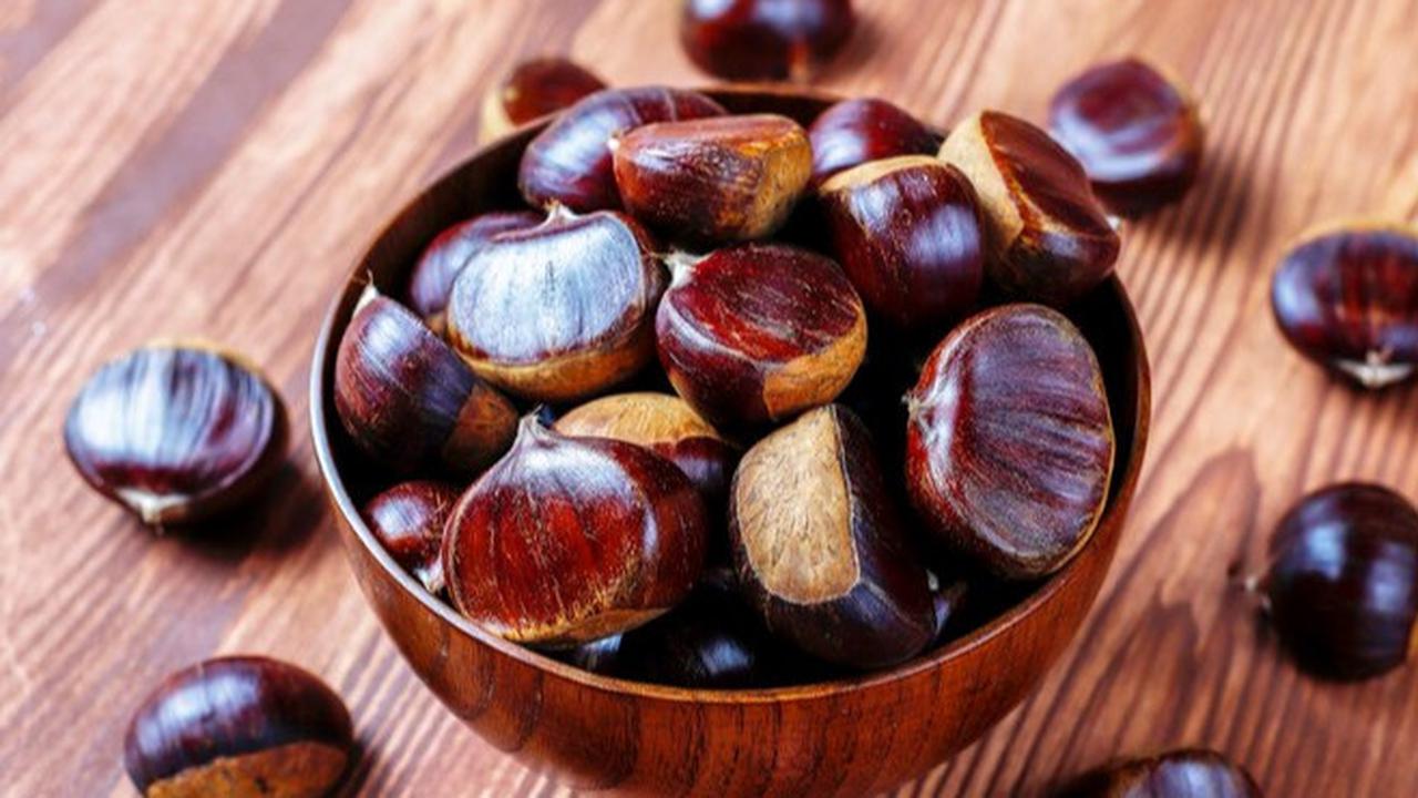 Cara Mengolah Jengkol Agar Lembut dan Bebas Bau Tanpa Kesulitan