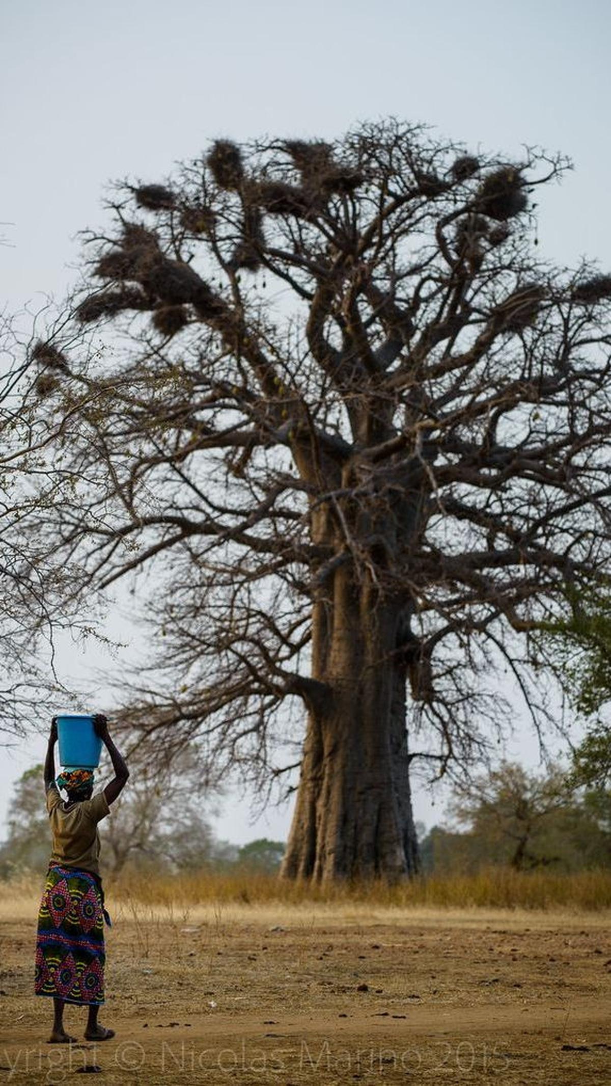 12.&nbsp;Burkina Faso