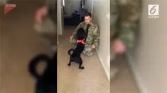Seekor anjing memeluk pemiliknya yang telah meninggalkannya selama 2 minggu.