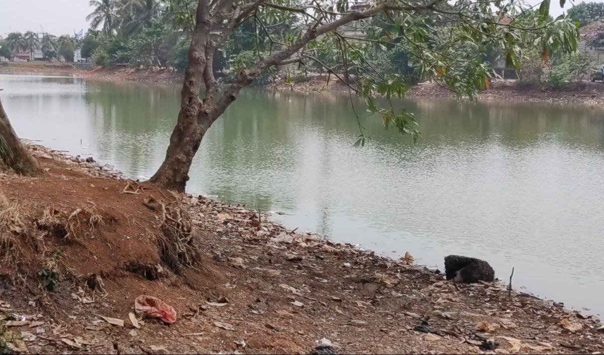 Biasanya, kata dia, air terlihat hingga batas permukaan tanah. Sejak kemarau, air menjadi lebih dangkal. "Tadinya air setu penuh, sekarang asat (nyusut) 3 meter," ujarnya.<br>