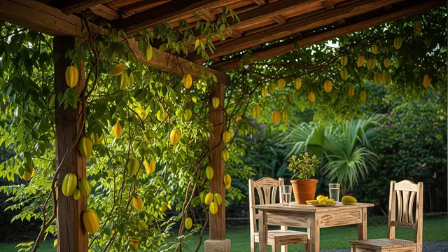 Teras Rustic dengan Belimbing Merambat