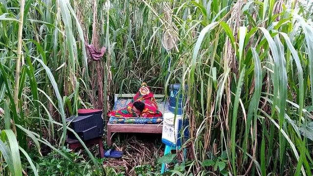 6 Potret Pemuda Tidur di Kebun Ini Bikin Tepuk Jidat