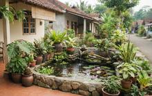 10 Tanaman yang Cocok Dipadukan dengan Kolam Mini di Teras, Ide Percantik Depan Rumah