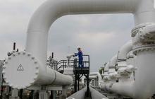 Ada Program Magang Langsung di 5 Fuel Pertamina Patra Niaga, Buka Peluang Putra Daerah Bangun Indonesia Timur