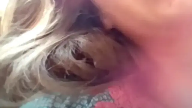 Rambut Wanita Jadi Sarang Burung