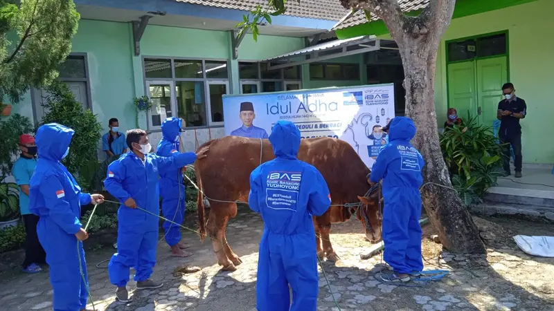 Hewan Kurban dari Politikus Demokrat Edhie Baskoro Yudhoyono atau Ibas.