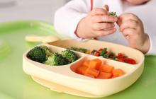 Viral Sekolah Diduga Wajibkan Wali Murid Beli Tempat Makan buat Program Makan Gratis, Segini Harganya