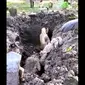 Makam dibongkar, Tali Pocong Warga Sidoarjo dicuri (Liputan6.com/Istimewa)