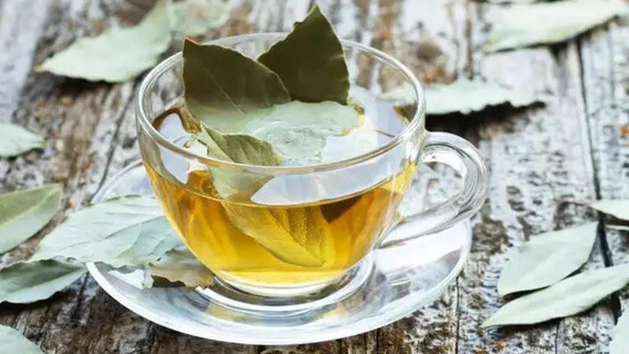 Obati Asam Urat dan Kolesterol dengan Rebusan Daun Salam, Begini Cara Memasaknya
