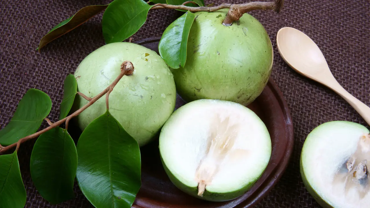 buah sawo duren