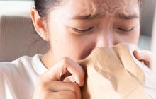 Tak Perlu Obat, 10 Bahan Alami Ini Bisa Atasi Mabuk Perjalanan saat Mudik Lebaran
