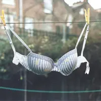 Ilustrasi menjemur bra. (via: Purewow.com)
