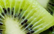 Manfaat Buah Kiwi untuk Kesehatan Fisik dan Mental, si Hijau yang Kaya Vitamin C