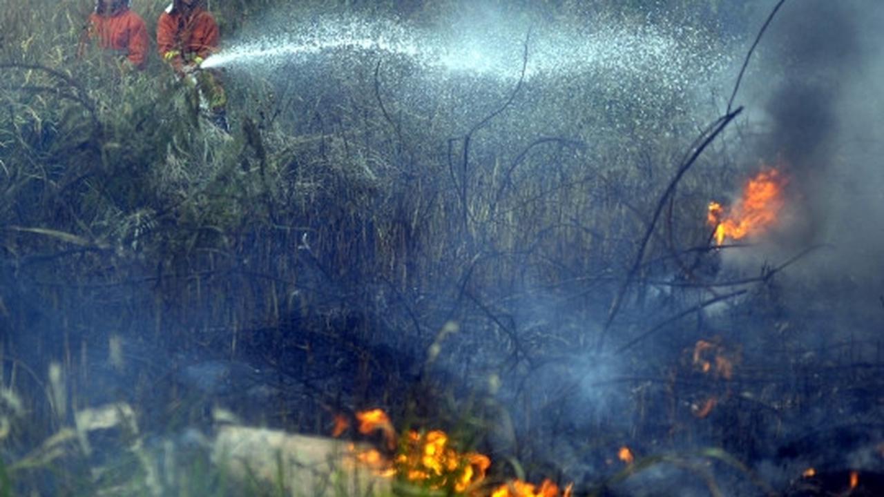 Warga dan petugas bahu-membahu padamkan kebakaran lahan di Tangsel