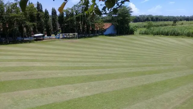 Tak Kalah Saing Dengan Eropa, Lapangan dari Purwerojo ini Picu Decak Kagum