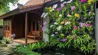 8 Model Taman Bunga Depan Rumah Minimalis, Dekorasi Natural yang Menyegarkan Mata
