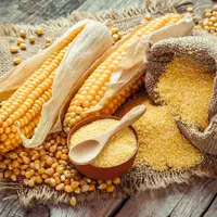 ilustrasi jagung/Chamille White/Shutterstock